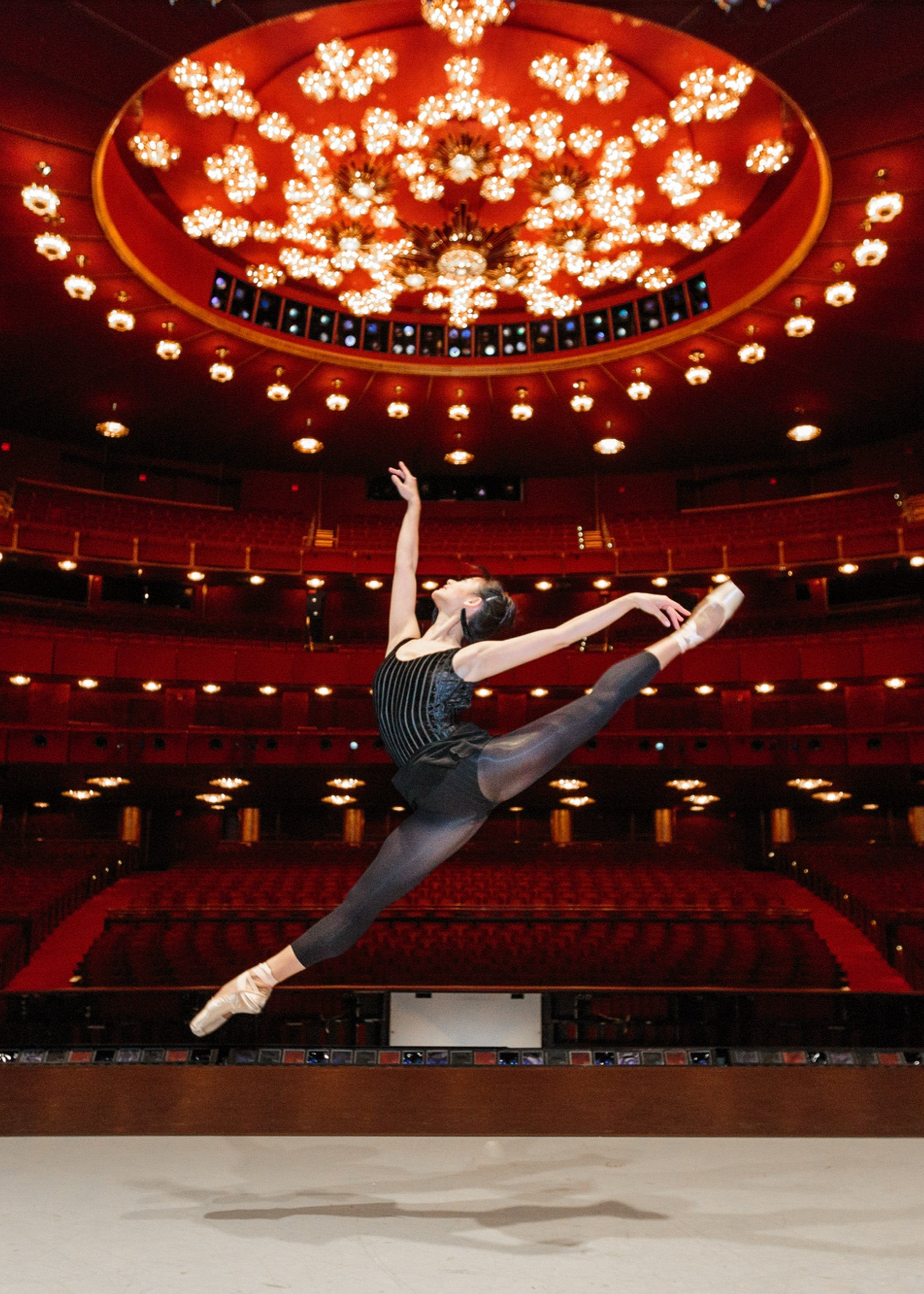 Bella Leotard - Striped Velvet Tank Leotard with Shoulder Bows black